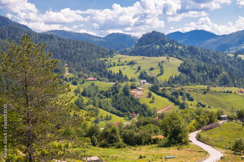 Obraz premium Tara national park in Serbia, Europe. Beautiful landscape with dramatic sky, hills, grasslands and mountains. Tourism and travel concept