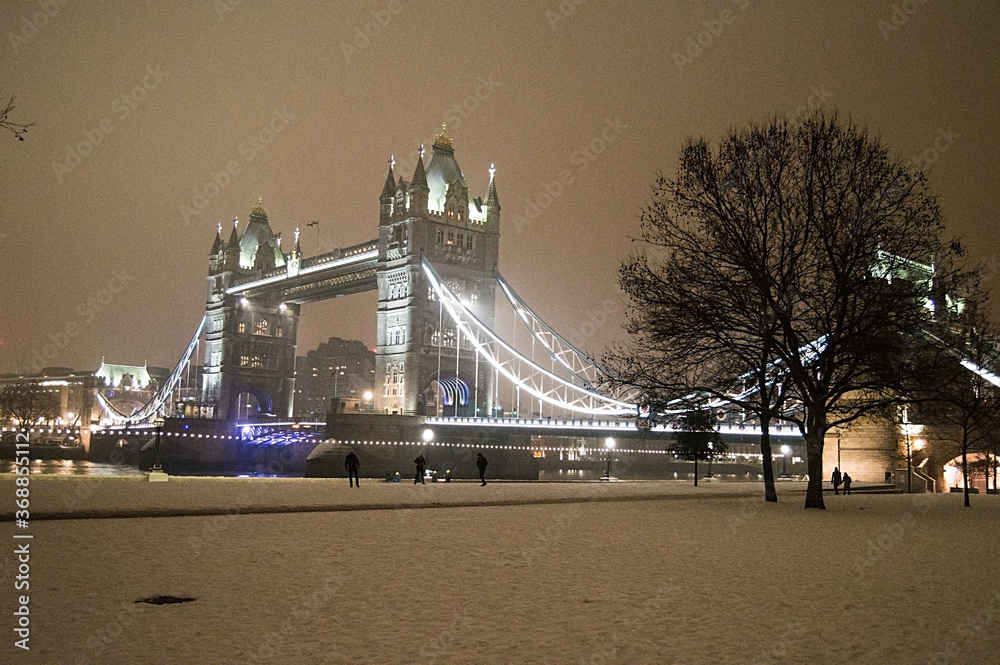 Obraz premium tower Bridge in the night