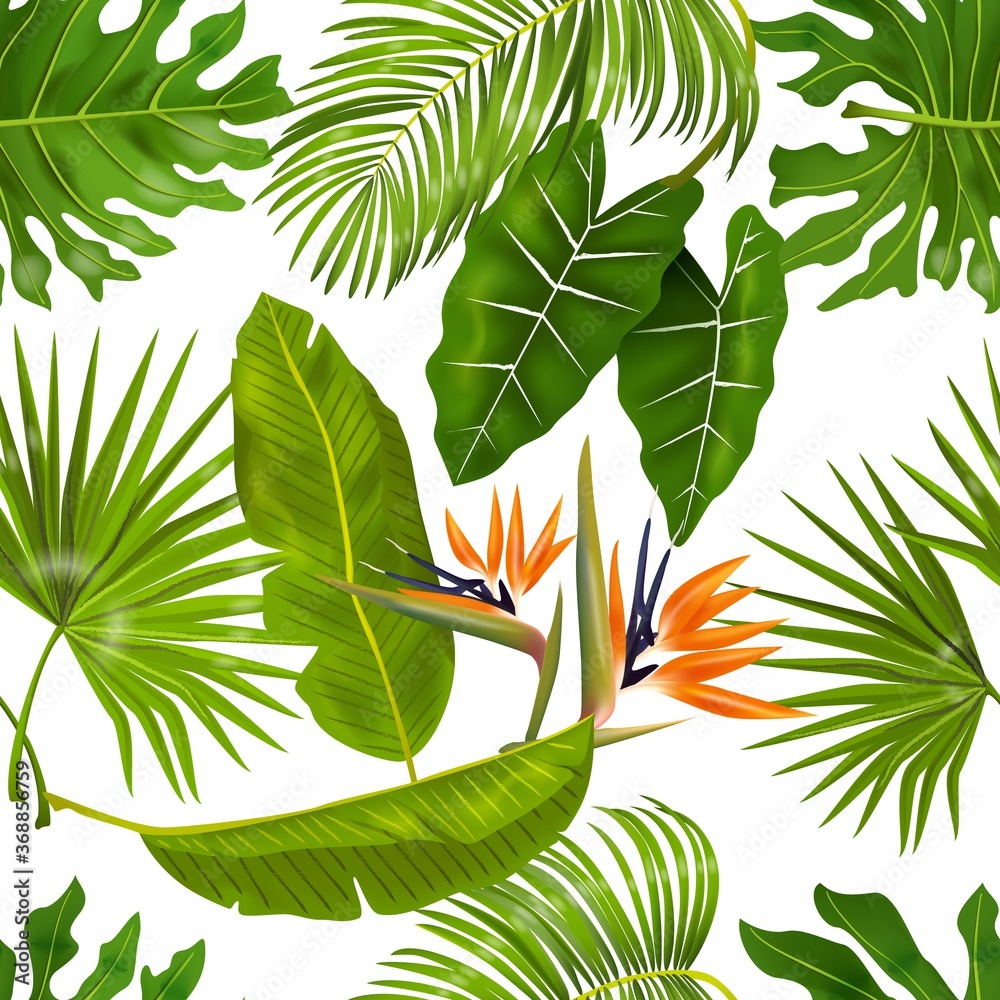 Tropic leaves pattern. Seamless texture with exotic leaves of jungle foliage, monstera and banana palm plants. Vector illustrations greenery pattern with exotic flower