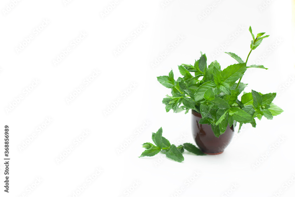 Fresh mint leaves in ceramic cup Fresh mint leaves in ceramic cup