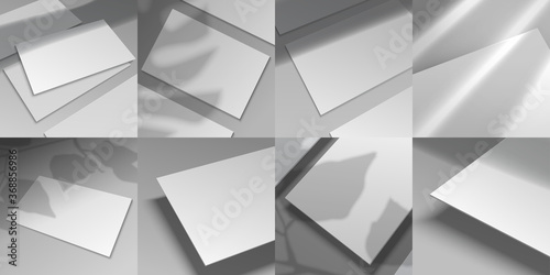 Shadow overlay mockup. Realistic white paper and cardboard posters and business cards with window shadows. Vector illustration blank cards with leaf shadows overlay background