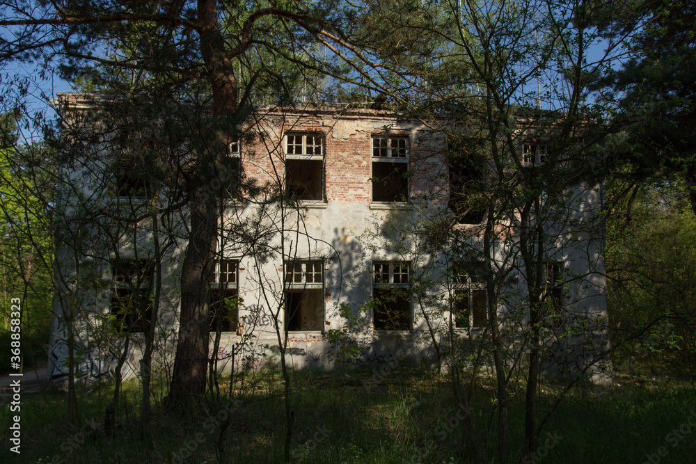 Obraz premium An abandoned, windowless building in the middle of a forest