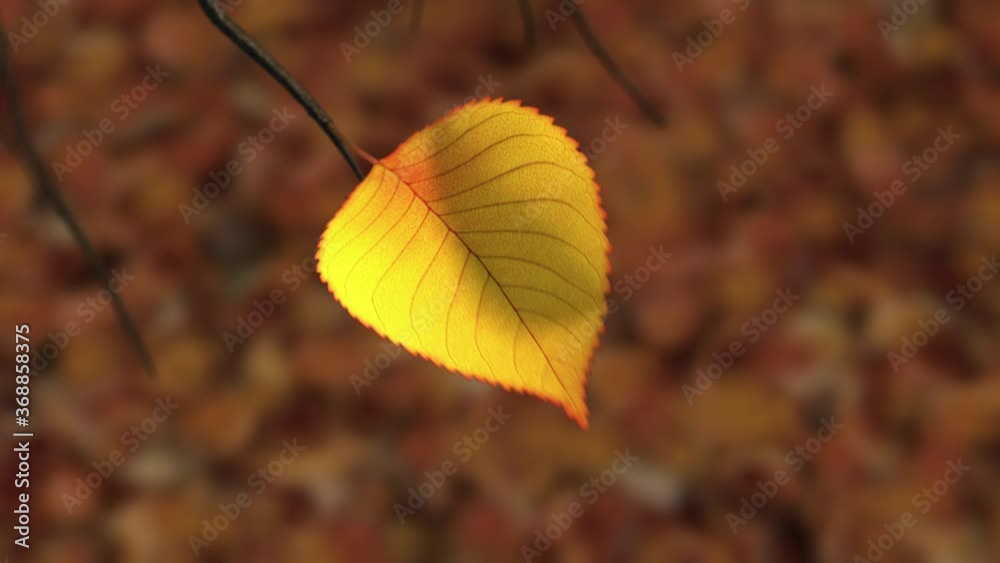 Wind Rips Last Yellow Leaf From Branch And Carries It Into The Sky. 3D Animation. 4K. 3840x2160. Wind Rips Last Yellow Leaf From Branch And Carries It Into The Sky. 3D Animation. 4K. 3840x2160.