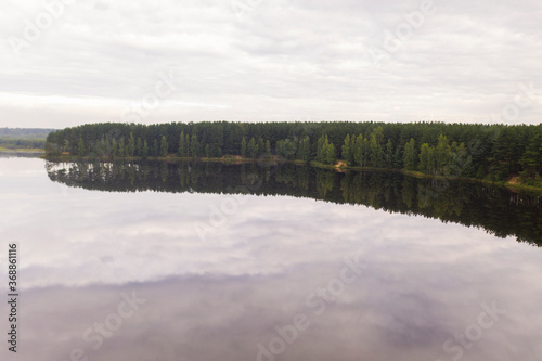 summer natural green landscapes in the early morning with trees by the lake