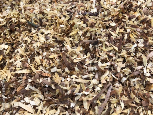 Background of the golden curls of wood shavings.