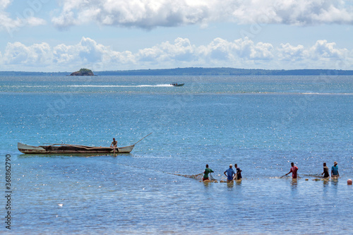 A group of fishermen pulling in a beach seine, a fishing net in a semi circle, in Ankify (Ambanja district) near the isle of Nosy Be, northern Madagascar. 