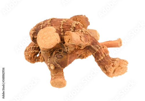 Fényképezés Lesser Galangal Dried Root Rhizome (Alpinia Officinarum) Culinary and Medicinal Herb