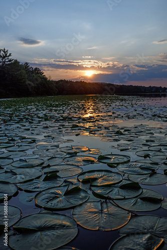 sunset over lake photo