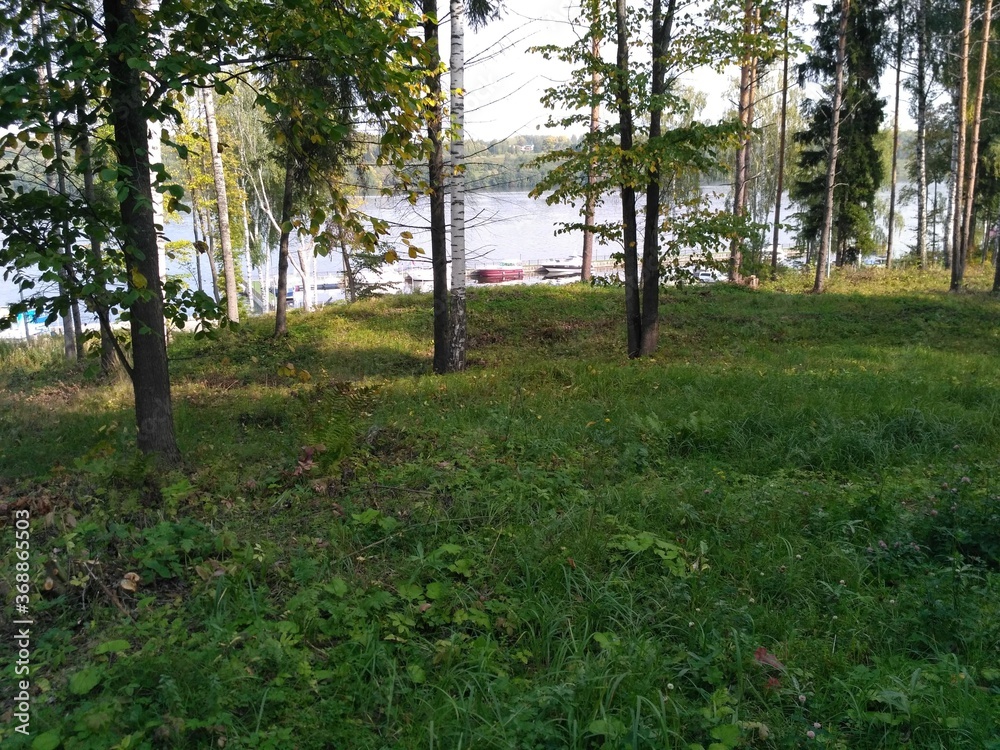Fototapeta premium Grove on the river Bank. Boats at the pier.
