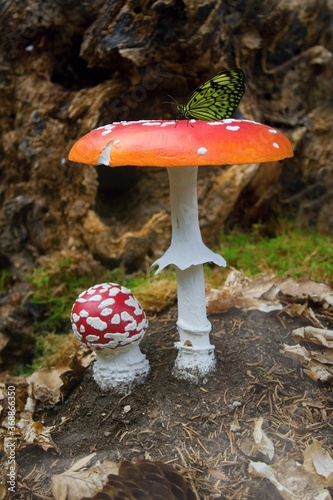 Big and small red toadstool and yellow-black butterfly.Poisonous mushroom - a red toadstool on which a yellow-black butterfly sits and rests.