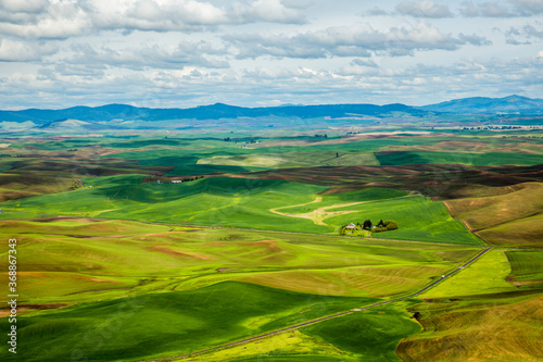 An elevated view of wheat feilds and summer fallow land in the Palouse region of eastern washington