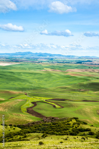 An elevated view of wheat feilds and summer fallow land in the Palouse region of eastern washington