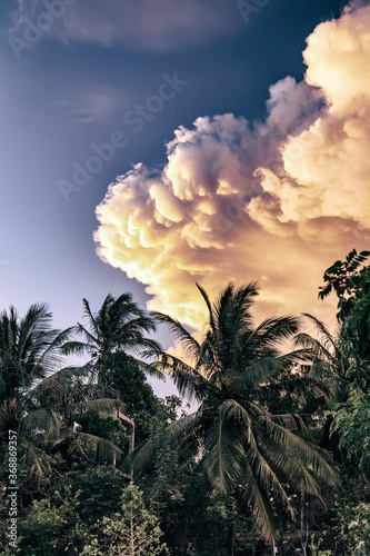 Cumulus clouds of during sunset on a background of palm trees.