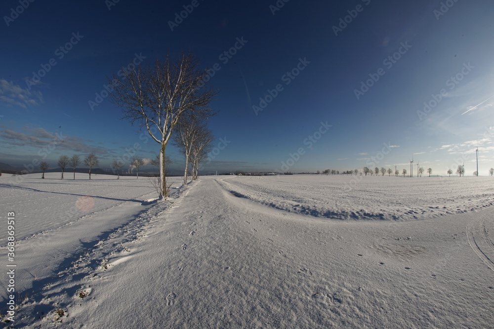 Winter mit Schnee und Eis in einer Landschaft mit Bäumen