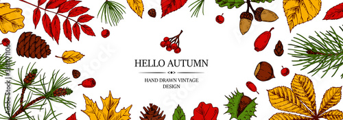 Autumn horizontal banner with hand drawn leaves, pinecone, Christmas tree branch, acorn and berries isolated on white. Space for text. Vector illustration in colored sketch style.