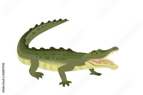 Green crocodile character big carnivore reptile cartoon animal design flat vector illustration isolated on white background © An-Maler