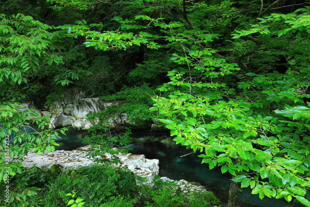 岩手県住田町 夏の葉山のめがね橋 岩手県住田町 夏の葉山のめがね橋