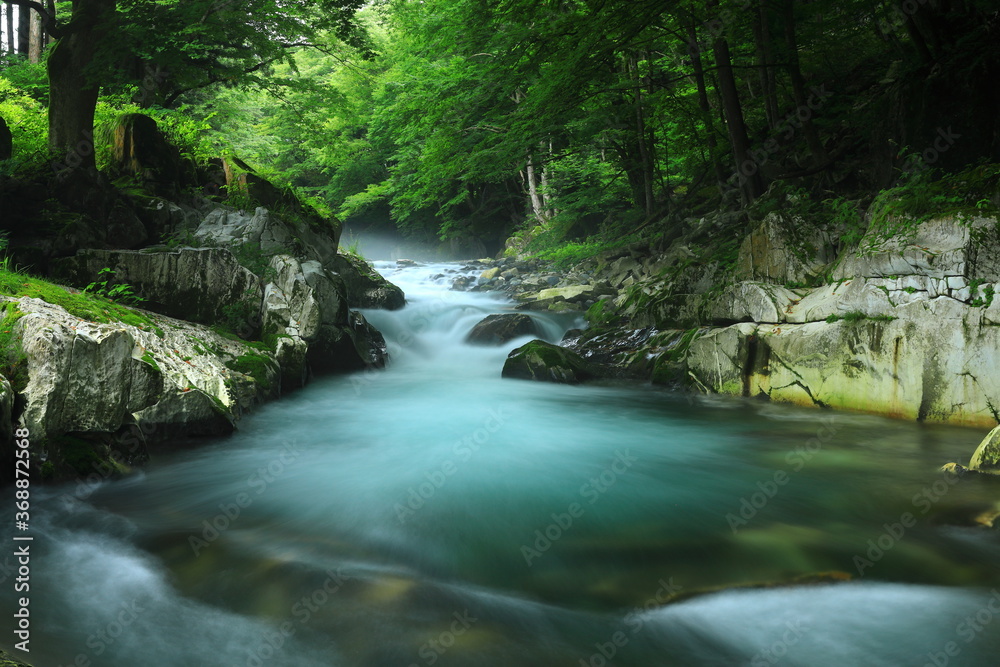 Obraz premium 岩手県住田町 夏の葉山のめがね橋