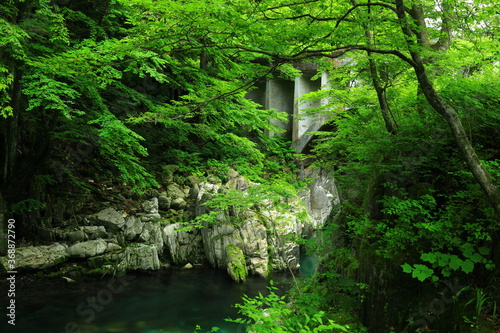 岩手県住田町 夏の葉山のめがね橋