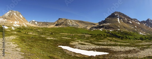 Scenic Green Alpine Meadow and Distant Mountain Peaks Wide Panoramic Landscape on a Sunny Summertime Day in Canadian Rockies, Alberta
 photo