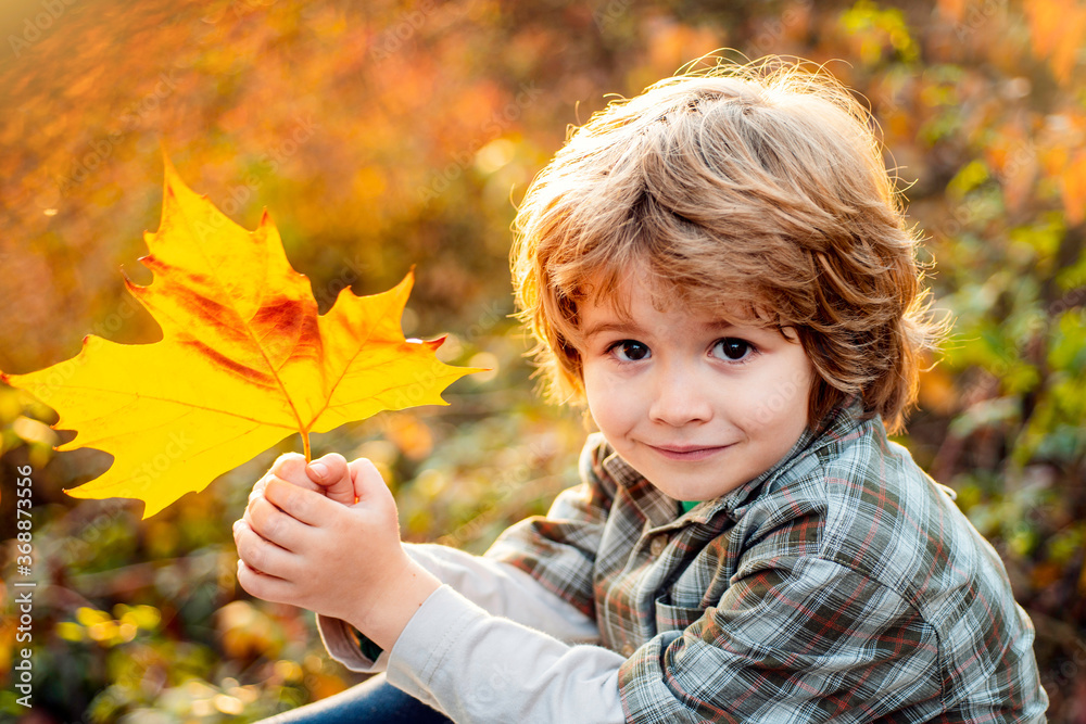 Autumn kid portrait close up. Happy child throws autumn leaves and laughs outdoors. Autumn kid portrait close up. Happy child throws autumn leaves and laughs outdoors.