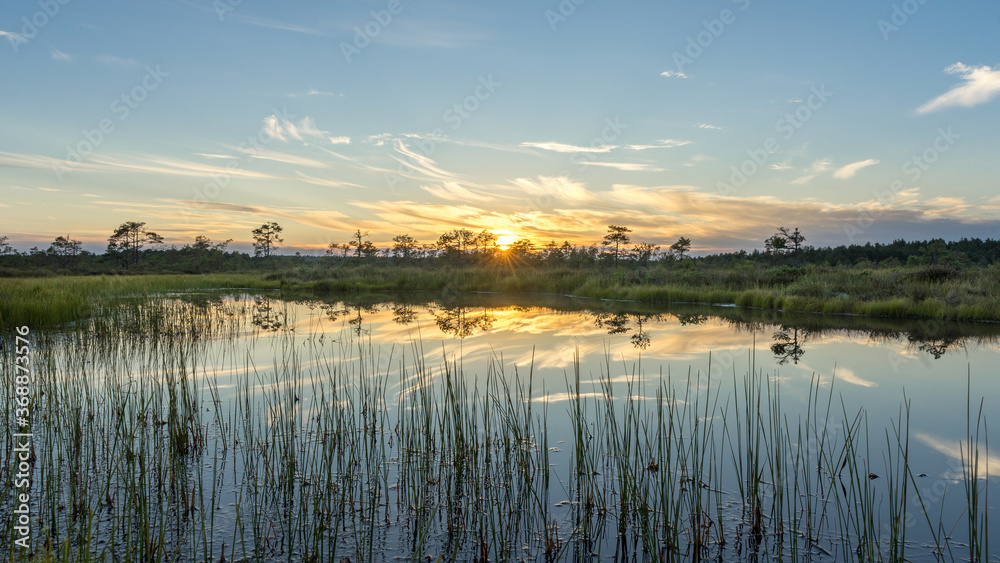 Fototapeta premium Sundown rose-pink light in raised bog. Kakerdaja raised bog wetland in Estonia. Sunset glow over marsh hollows. Symmetry created by reflection of trees and colorful clouds in moorland lake. 