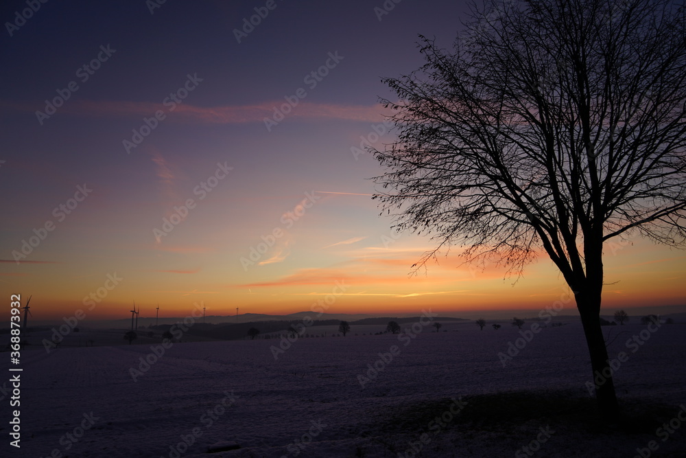 Winterlandschaft bei Frost und Eis am Abend im Nebel