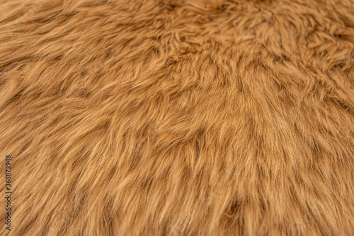 abstract background of an elegant warm ginger fur close up