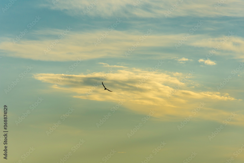 Cloudy mood over Lake Garda in Italy. Dark clouds against the bright sky. A bird flies lonely across the sky. Scraps of cloud spread out. Evening mood.