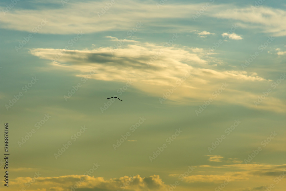 Cloudy mood over Lake Garda in Italy. Dark clouds against the bright sky. A bird flies lonely across the sky. Scraps of cloud spread out. Evening mood.