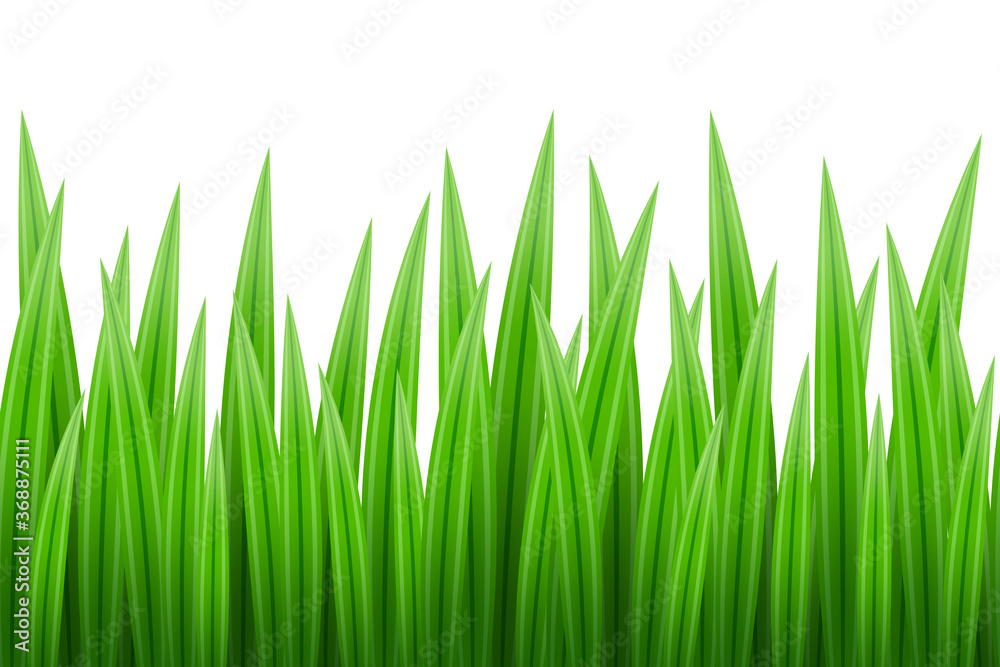 Naklejka premium Seamless border pattern of bright green grass