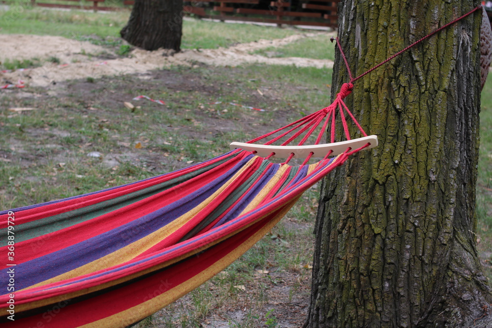 Multi-colored hammock hanging between trees in the park