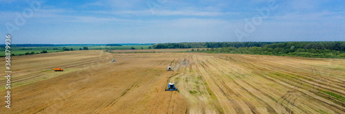 Harvesting of wheat in summer. Two harvesters working in the field. Combine harvester agricultural machine collecting golden ripe wheat on the field. View from above.