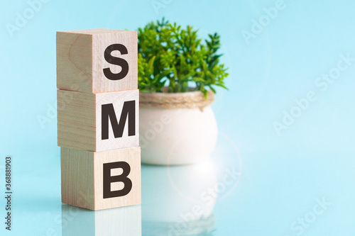 hree wooden cubes - letters SMB meaning Small to Medium sized Business on them, space for text at right side photo