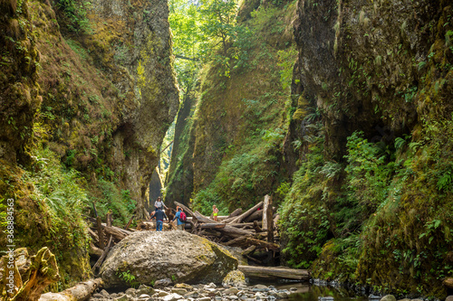 Hikers scrambling over a log jam at the entrance to Oneonta Gorge, in the Columbia River Gorge National Scenic Area, Oregon