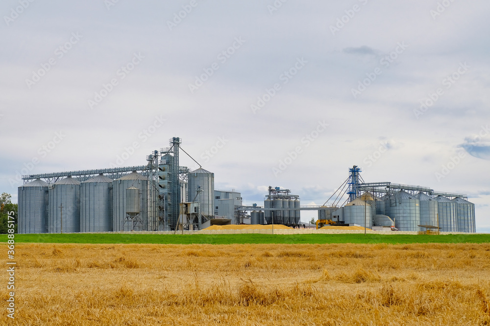 Granary elevator. Metal silos for grain storage, drying, cleaning agricultural products, flour, cereals and grain. Agro-processing business concept