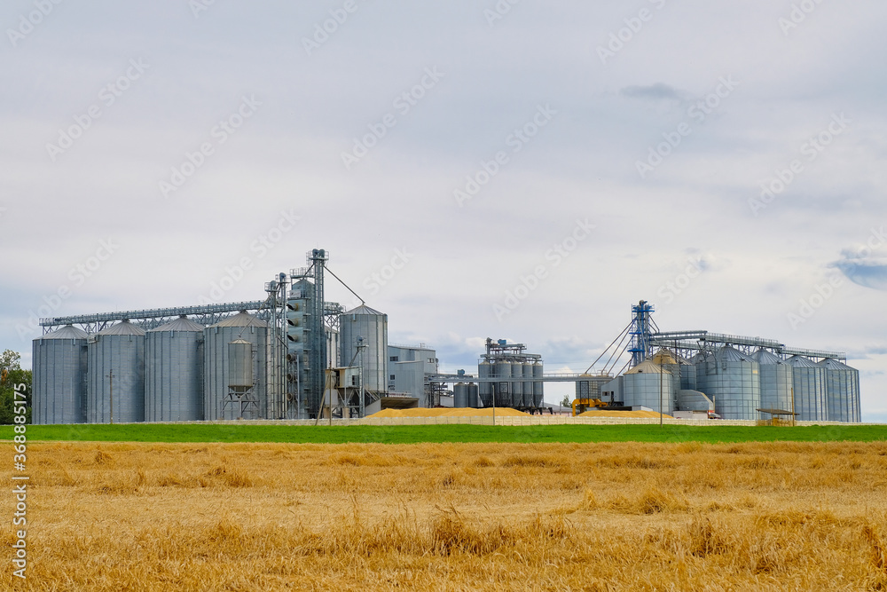 Granary elevator. Metal silos for grain storage, drying, cleaning agricultural products, flour, cereals and grain. Agro-processing business concept Granary elevator. Metal silos for grain storage, drying, cleaning agricultural products, flour, cereals and grain. Agro-processing business concept