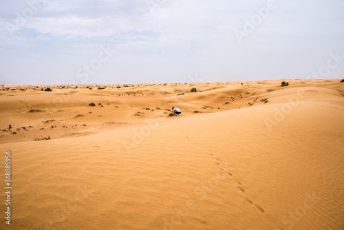 Lanscape of the red desert in Dubai, with yellow dune and blue sky, totally empty and quite.