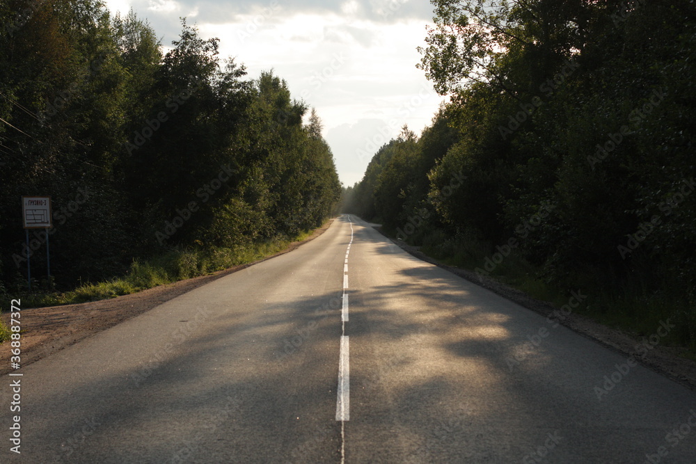 Fototapeta premium Highway through the forest in Russia