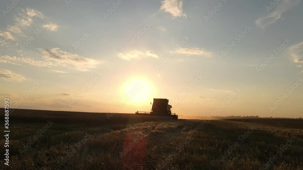 Aerial drone view: combine harvesters working in wheat field on sunset. Organic farming. Agriculture theme, harvesting season Aerial drone view: combine harvesters working in wheat field on sunset. Organic farming. Agriculture theme, harvesting season