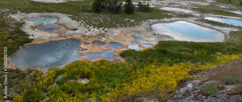 The Painted Pool, West Thumb Geyser Basin, Yellowstone Lake, Yellowstone National Park, Wyoming, USA