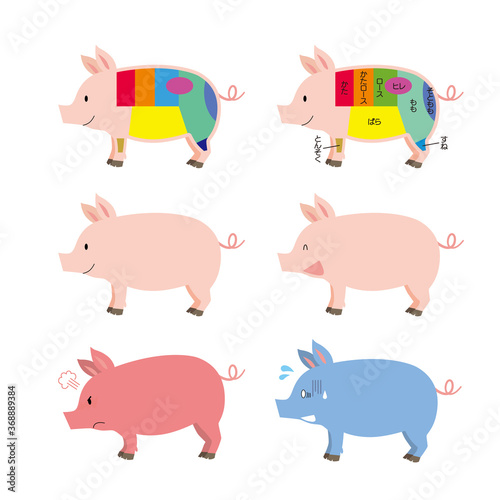 豚肉の部位と豚表情セット
