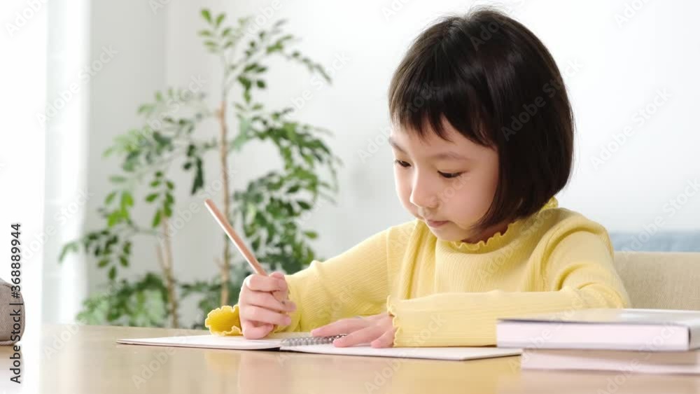 自宅で勉強をする女の子 自宅で勉強をする女の子