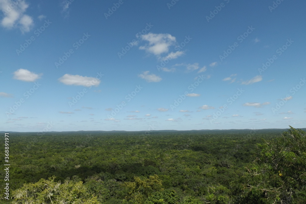 Horizonte de la gran selva maya Horizonte de la gran selva maya