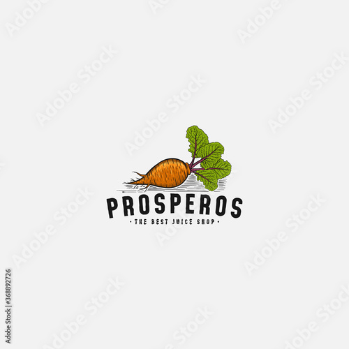 Abstract Carrot With Beet Leaf Vintage Logo Design Illustration For Juice Shop Or Farm