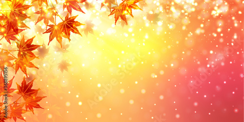 紅葉　もみじ　秋　背景
