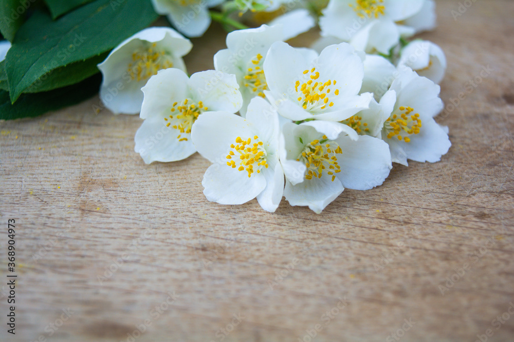 White jasmine flowers, traditional green tea ingredient, aromatherapy flavor White jasmine flowers, traditional green tea ingredient, aromatherapy flavor