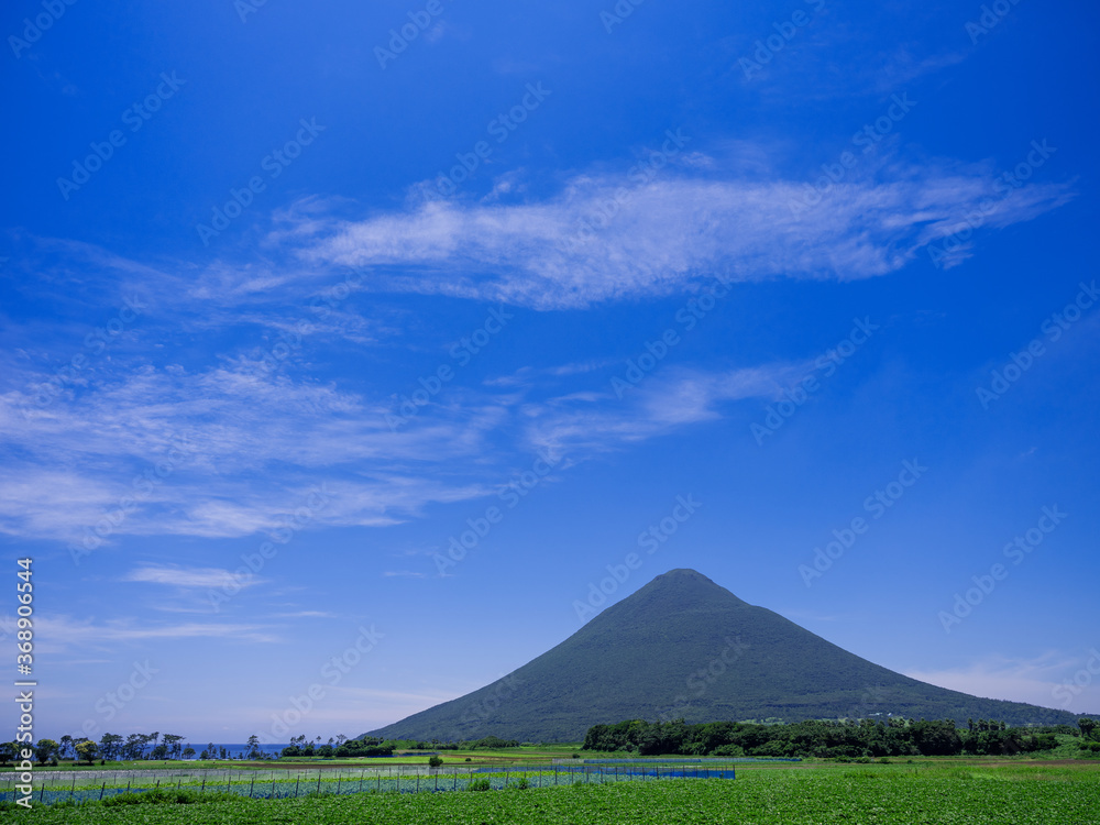 夏の山