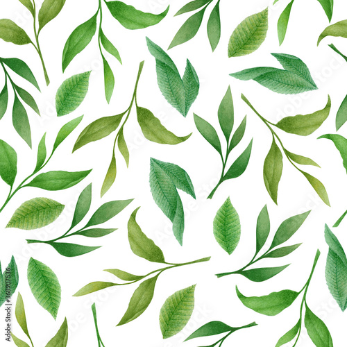 Watercolor seamless pattern with green hand drawn tea leaves and branches isolated on white background. Botanical illustration for textile design, print, fabric, wallpaper