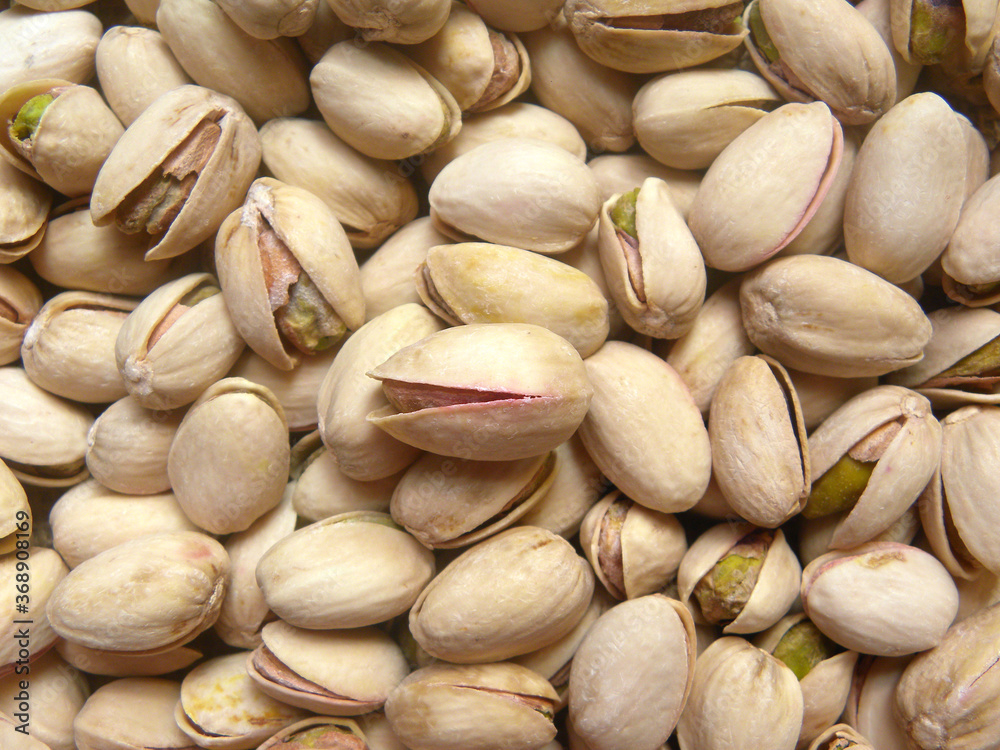 Roasted and salted Pistachio in shell Roasted and salted Pistachio in shell